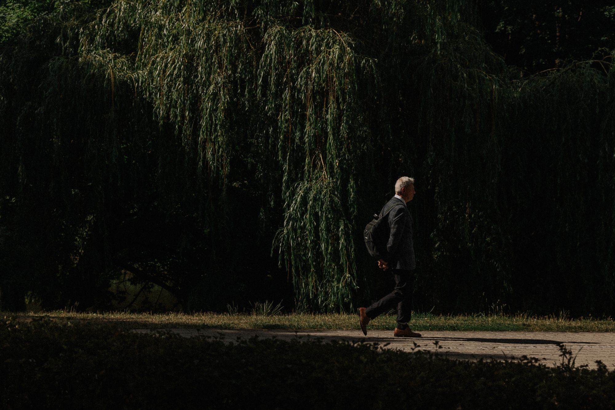 A person on a quiet walk through a park, looking ahead.